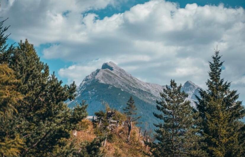 Alpe Goldener Hirsch Apartment *